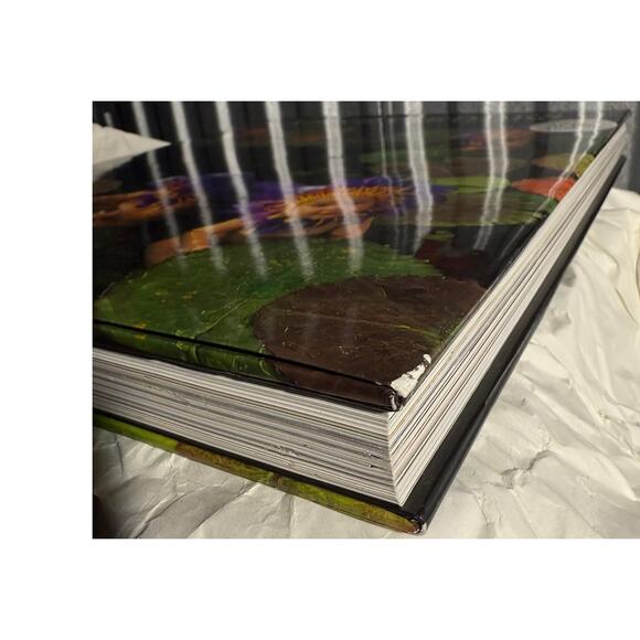 Signed A Labor of Love An Autobiography by Anne Geddes Autographed HC Book - Picture 8 of 10